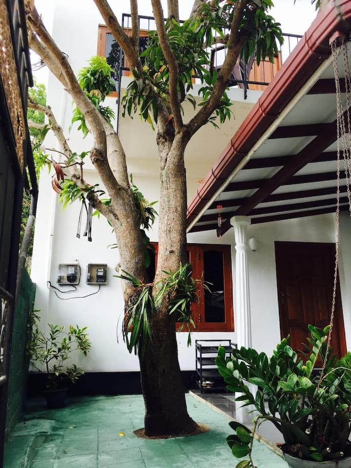 House Of Seya Bed & Breakfast Negombo Bagian luar foto