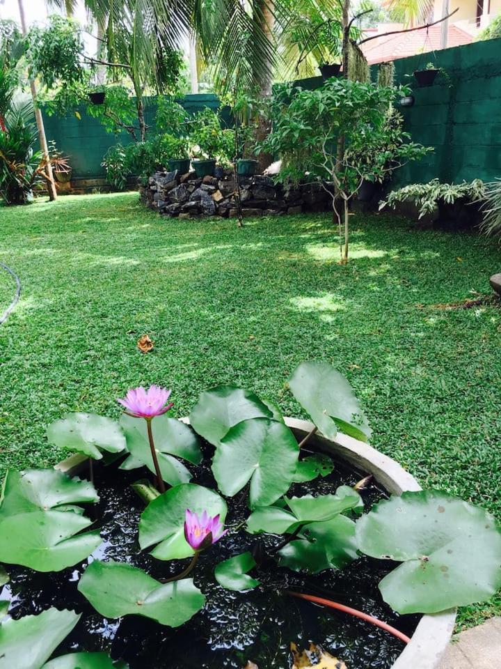 House Of Seya Bed & Breakfast Negombo Bagian luar foto