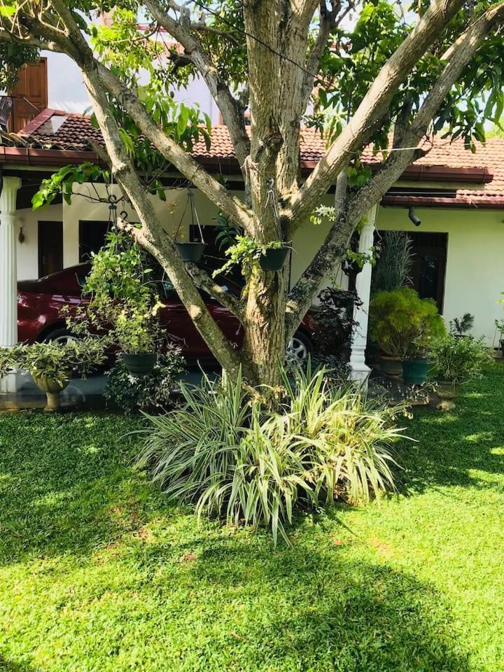 House Of Seya Bed & Breakfast Negombo Bagian luar foto