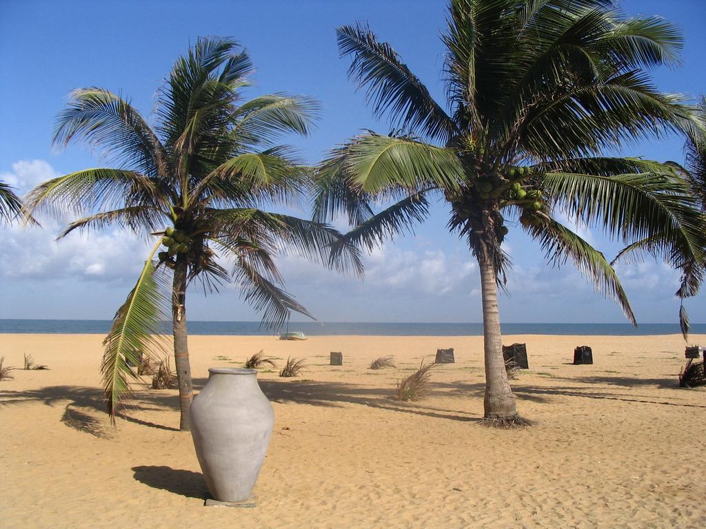 House Of Seya Bed & Breakfast Negombo Bagian luar foto