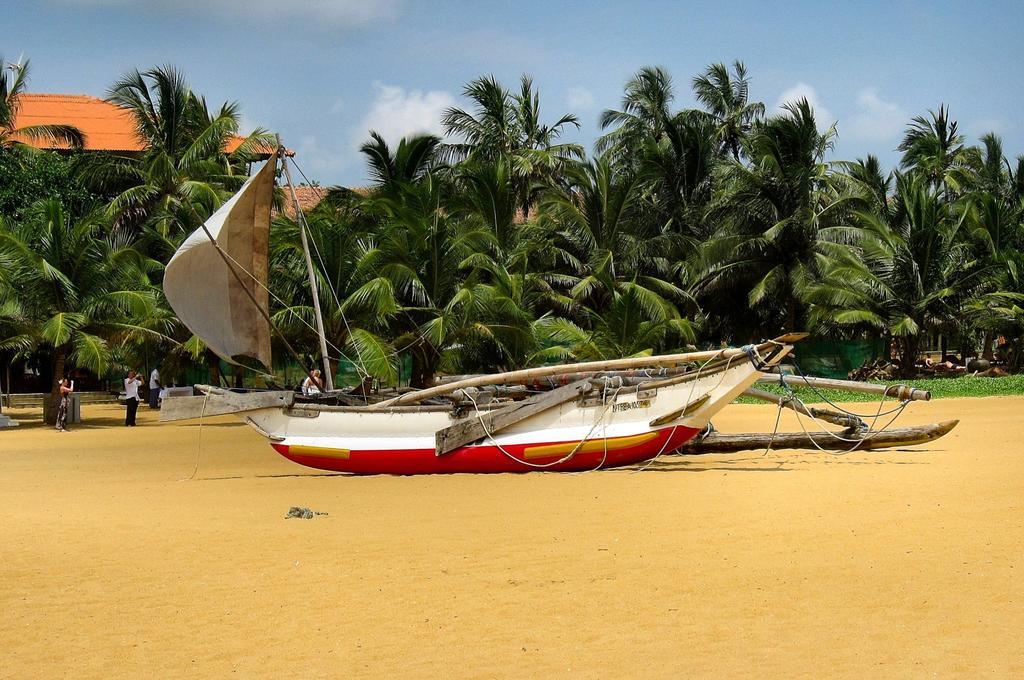 House Of Seya Bed & Breakfast Negombo Bagian luar foto