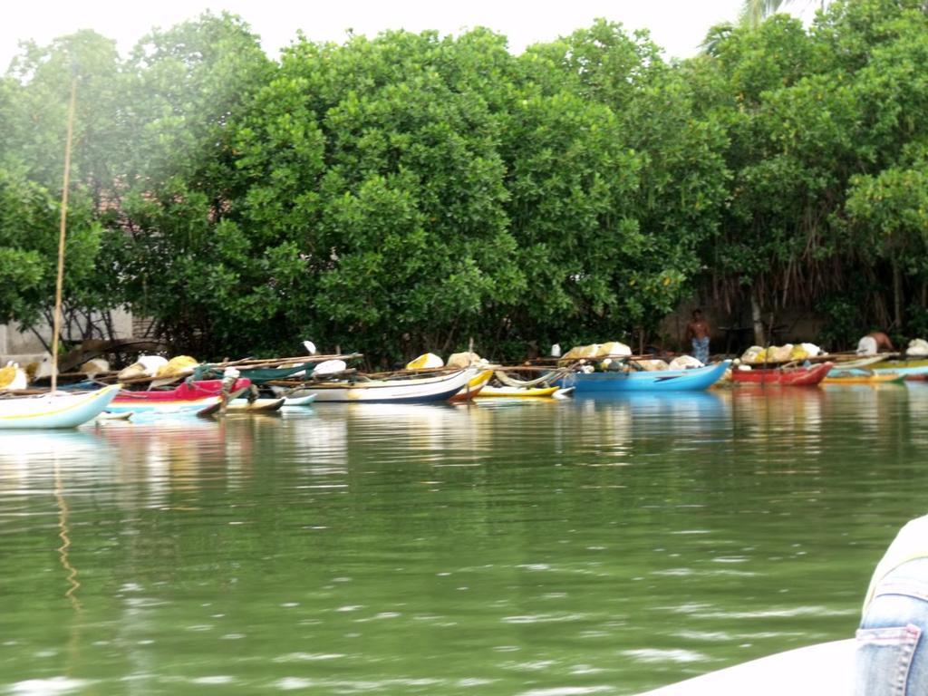 House Of Seya Bed & Breakfast Negombo Bagian luar foto