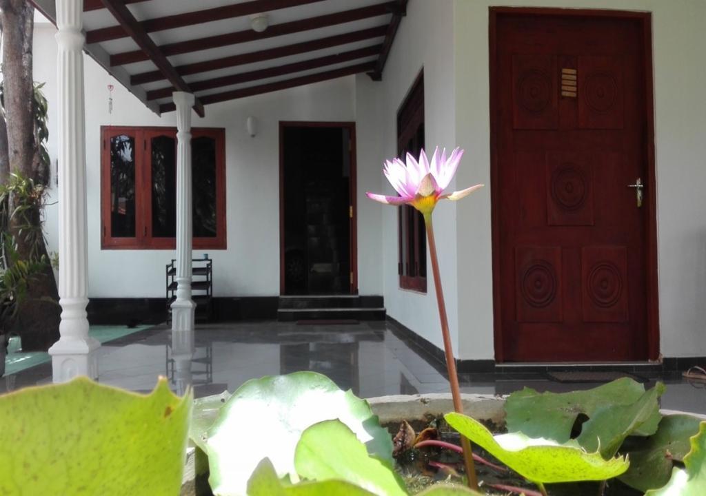 House Of Seya Bed & Breakfast Negombo Bagian luar foto